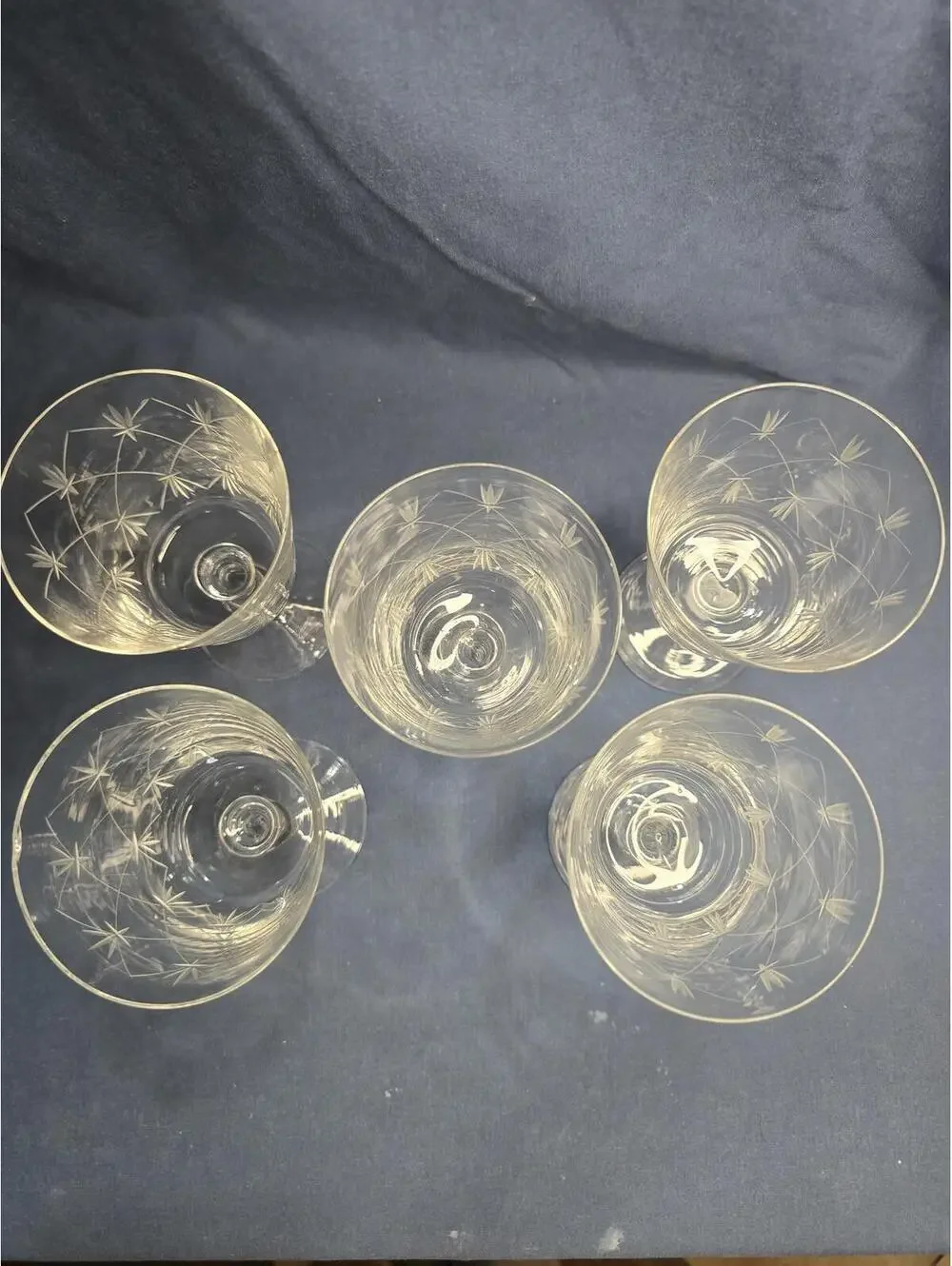 Vintage Chelsea by Ebeling & Reuss Etched Glass Water Goblets Set of 5